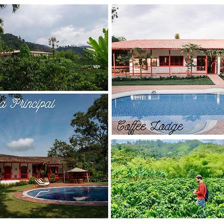 Hacienda Venecia Coffee Farm Hotel San Peregrino Kültér fotó