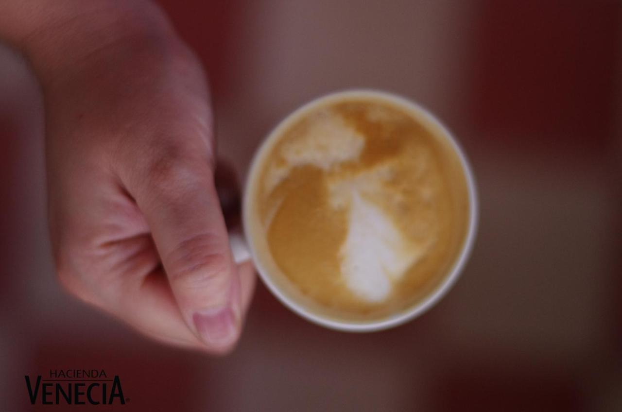 Hacienda Venecia Coffee Farm Hotel San Peregrino Kültér fotó