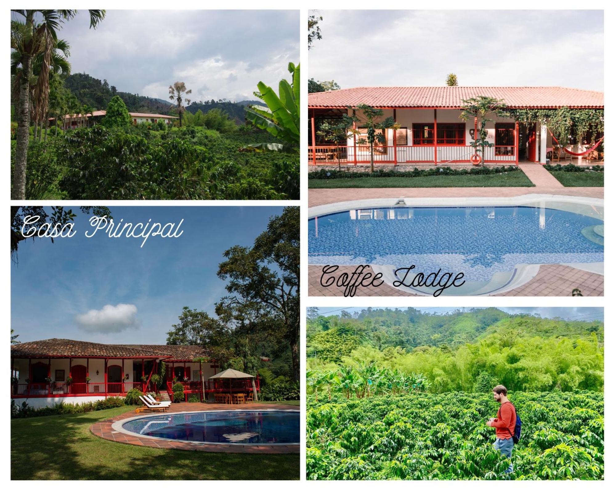 Hacienda Venecia Coffee Farm Hotel San Peregrino Kültér fotó