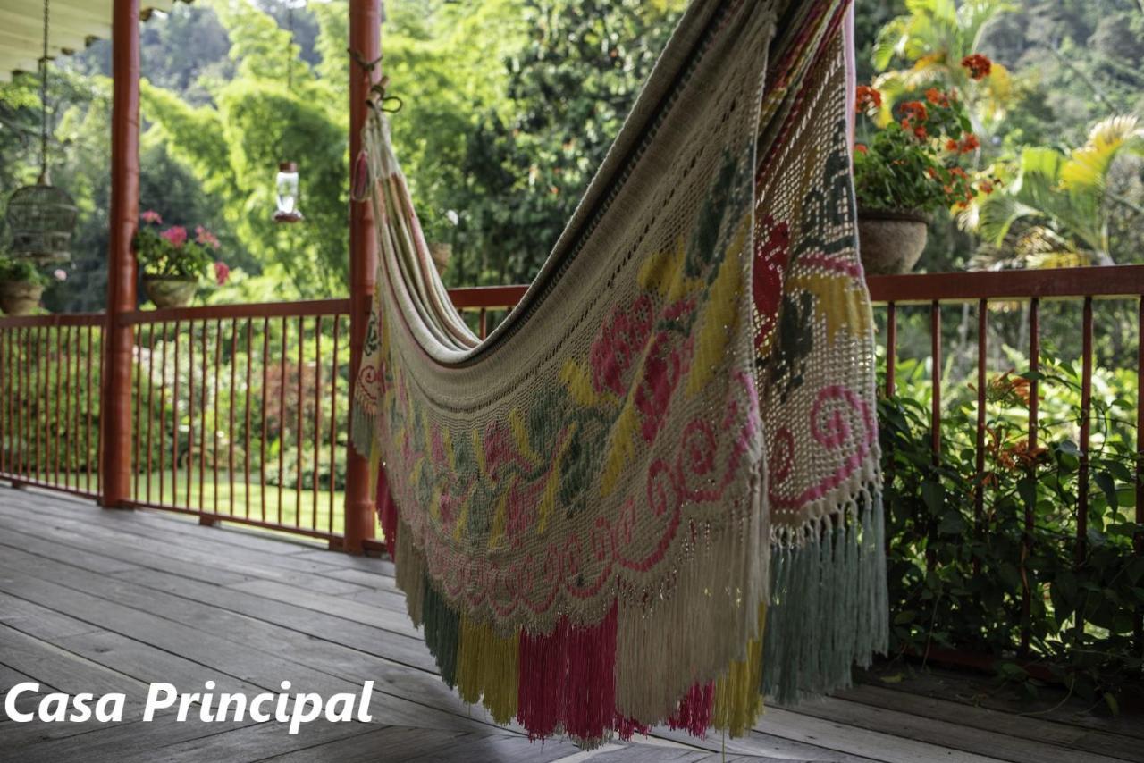 Hacienda Venecia Coffee Farm Hotel San Peregrino Kültér fotó